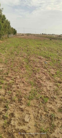 دونم • طريق الوافدين • ماء كهرباء