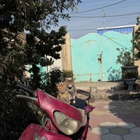 عيوني دراجه ماكس منغولي مفتوحه بوشه 55 دراجه مستعجل ع بيعته سعر 400 وب...