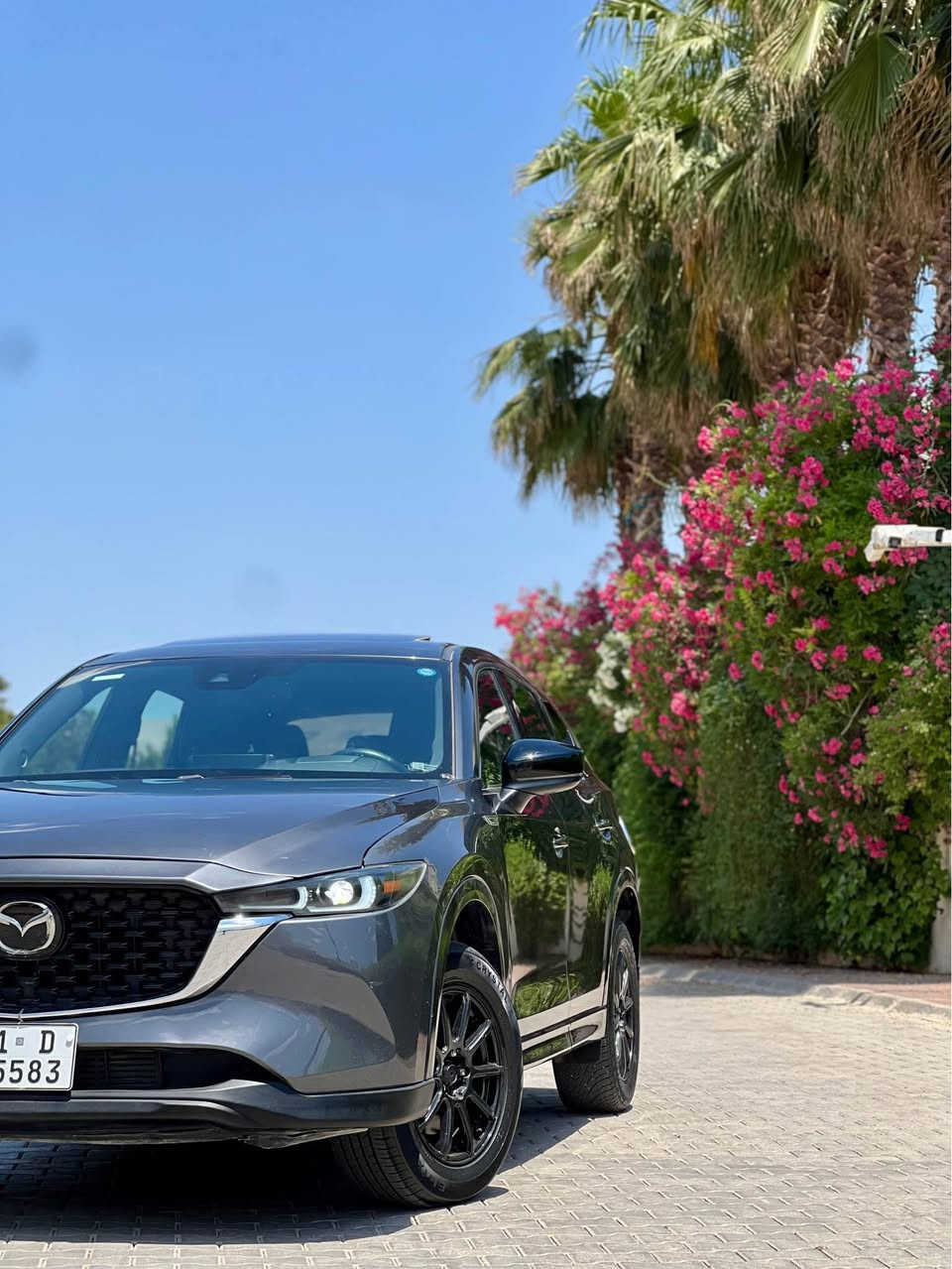 MAZDA CX-5 2023 MOTION
مازدا CX-5  فول مواسەفات 
مەکینەی 2.5L بێتۆڕبۆ مەرخوبەکەیە 
دەبڵ ئەکسل 
سلایت 
کوشن جڵت 
کوشن کارەبا 
کوشن خەزن 
لایت زینۆن 
دەبڵ لید
ئۆتۆ هۆڵد برێک بەسمە  
دوگمەی سپۆڕت 
شاشە گەورە 
ڕادارو کامێراو حاسە 
فول فول مواسەفاتە 
یەک  پارچەو پەڵەیە کی بۆیاخە
بێنا و گرتن  
سەیارەکە ڕەقەم سلێمانیە سەنەوی تازە 
تەحویلو خەرامە بە شەرت 
*********** السليمانية, العراق
