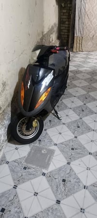 ماكس عدلة • بوشه 55 • نضيف