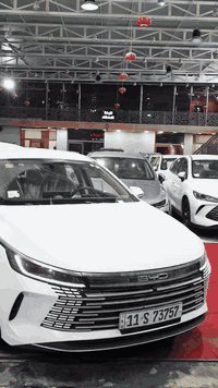 #شركة #لتجارة #السيارات #الحديثة #الاصدقاء 

 #ديستروير #2025シ #مثبت #لوحات #بسعر_مناسب #اتصل #ودلل #*********** #*********** #***********
