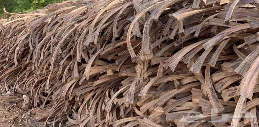 السلام عليكم

إلى كافة اصحاب المواكب وغير المواكب الي يحتاجون لعملعهم والاسيجه وغيراها و كل من يرغب للحصول عل حطب يوجد سعف وكرب نخل مال تكريب مجاني بثواب والدي اشكد ما تريد) المكان الرميثه المسبح الاولمبي 
***********
