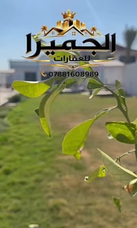 فرصة استثمارية مزرعة للبيع للاستفسار اكثر زورونا مقر الشركة الكائن في ...