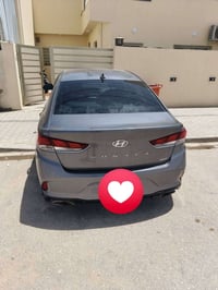 سوناتا ٢٠١٩ • سبورت • رقم كربلاء