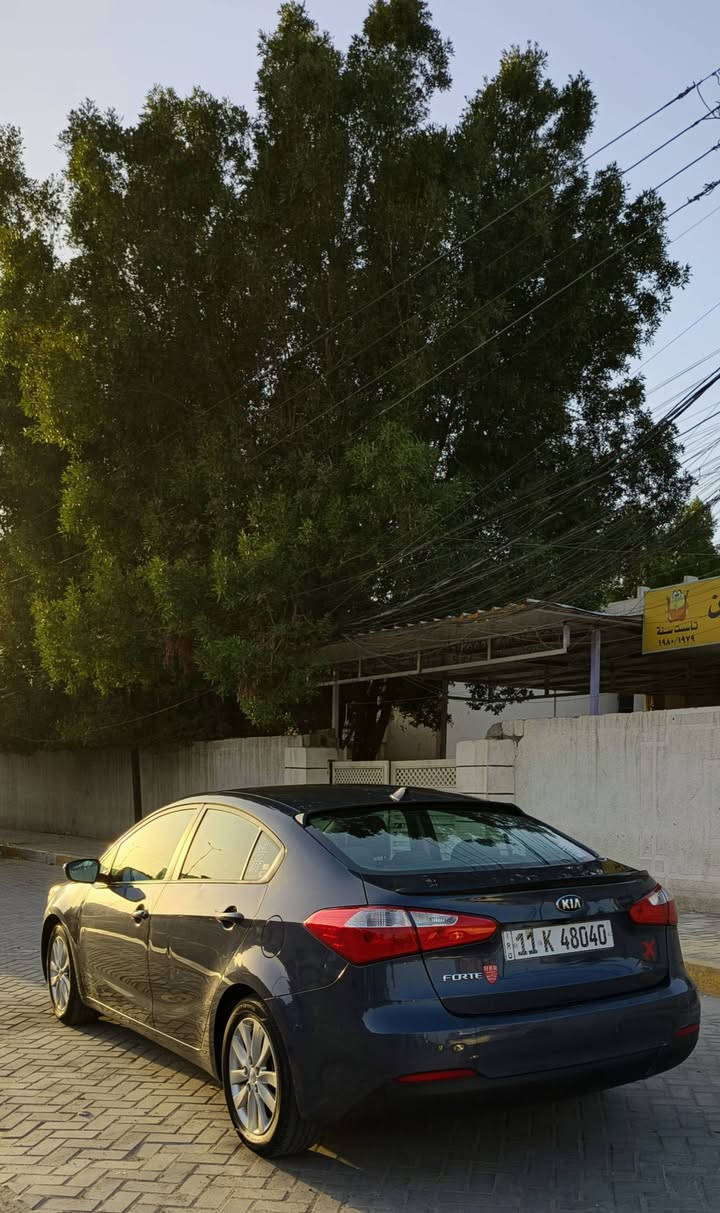 اسلام عليكم.. فورتي 16 رقم بغداد بأسمي محرك 1800 دوش حادثها جاملغ فقط بدون ايرباك..بدون دواخل..وبيها بابين جهة الراكب صبغ فقط هنا بغداد.. محرك كير مكفولات صدر امامي جديد داخل نضيف جدآ.. ماشية 110
للبيع فقط بغداد حي اور ***********
السعر 115 وبيها مجال
