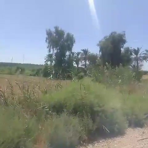 هاي بالكطنيه  واسط وجه شط دونمين سند 25 زراعي وشارع ٨٠ متر سعر الدونم 55 مليون وبيه مجال للتفاوض قريبه ع شارع العام ٣٨ دونم
للاستفسار على رقم ***********
