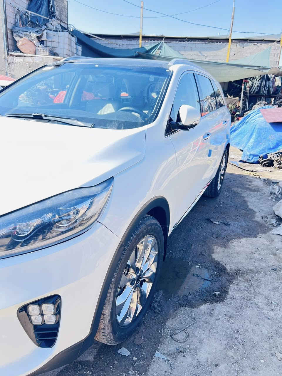 السلام عليكم
1 الموديل2020 خليجي
2 المواصفات 1/1 
3 فول مواصفات حتى فتحه وبنرما  الفتحه وتبريد الكشنات
V6 4
5 كشنات رياضي جلد + كهرباء ⚡️ لون قمرديني 
6 كامرات عدد 4️⃣ 360 درجه 
7 اربع انظمة قياده
8 مانع انزلاق 
9 حساسات امامي خلفي 
10 هاند بريك بصمه + نظام اوتو هولد
11 بجم دبل شباك أضاه LED
12 لآيت زنون
13 ويل كاب عدد ٥
14 جنطة كهربائية شفط 
15 المرآيه كأمره + شفط 
16 شاشه كبيره GPS نظام خرائط يحدث تلقائيآ
17 شاشه اعطال 
18 ماشيه 88 حقيقي 
19 شاحنه لاسلكي 
20 دوسات ليزرية علامه SORENTO 
21 أناره داخلية لون احمر 
22 بصمات عدد١
23 داخل لونين
24 بردات بلاديه 
25 السياره كامل مواصفات للأخر 
السيآره رقم بغداد صار شهر مجدد سنويه وصاعده هزه
شرط تحويل
السياره مامتعوبه ونظيفه حيل
العنوان النجف 
سياره بيه ملاحظه بسيطه 
للستفسار الاتصال  على واتساب
***********
السعر 257
ما موجود علا الخاص
