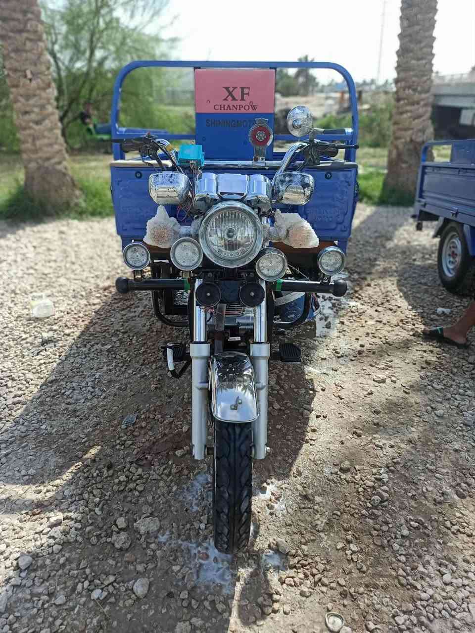 سلام عليكم ستوته البيع نوار الباشاه مكفواله كفاله عامه ***********
