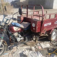 ستوتة صقر19 نضيفه سلف وهندر أوراق اصولية السعر مليون وميه وبيهة مجال م...