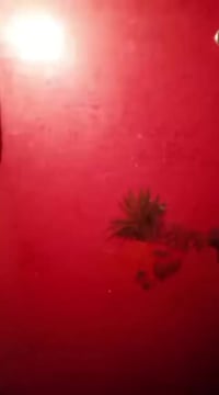 ثلاجة • نضيفه