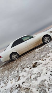 شاهین • ٢٠٠٥ • وارد جديد