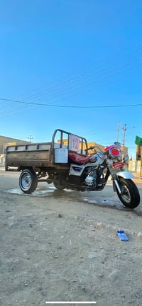ستوته • مديل ١٢ • معمره مكفوله
