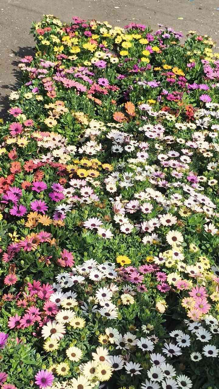 اللهم صلي على محمد وال محمد ❤️


**إذا كنت صاحب هذا الإعلان وتريد حذفه لأي سبب، رجاءا أرسل رسالة إلى الدعم الفني**