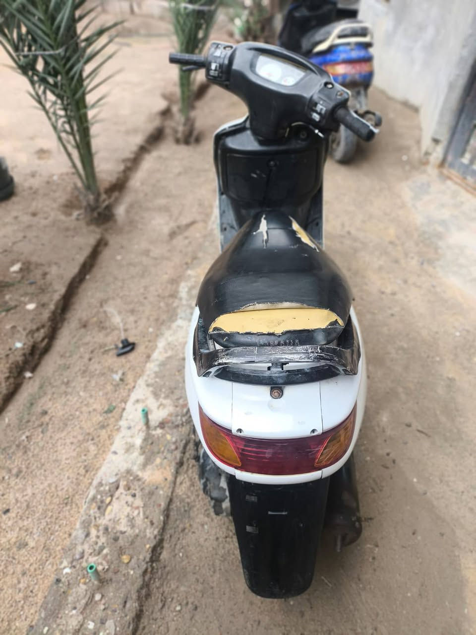 سلام عليكم فراشه للبيع....دراجه مجفته حلوه ونظيفه وناعمه النقوصات اللي بيه فقط ستاند وسط وواير كيلومتر عداد سعره 275 وبيه مجال للشراي يتفضل خاص وبالخدمه


**إذا كنت صاحب هذا الإعلان وتريد حذفه لأي سبب، رجاءا أرسل رسالة إلى الدعم الفني**