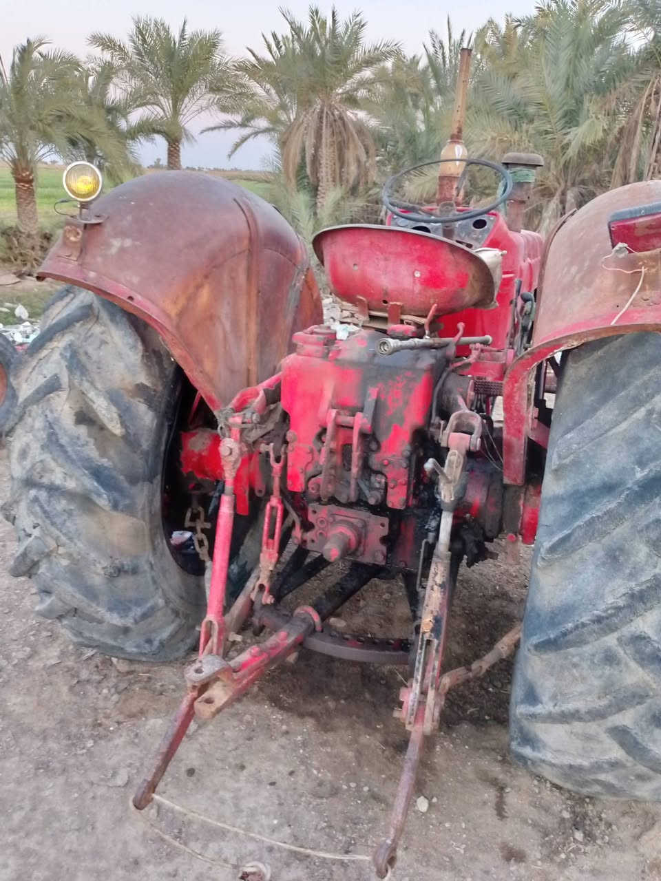 بولندا للبيع او مروس بعنتر مكانه نجف ناحيه القادسيه موبايل ***********
