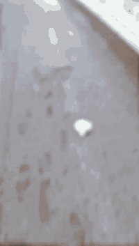 السلام عليكم دراجه للبيع تواصل واتساب ***********
