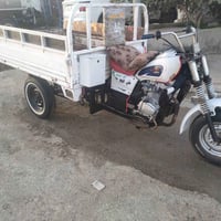 ستوت • موديل 2011 • أوراق كاملة