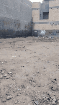 رقمها 8623
للاتصال ***********
