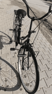 باسكل • مقاس 26 • موديل 19