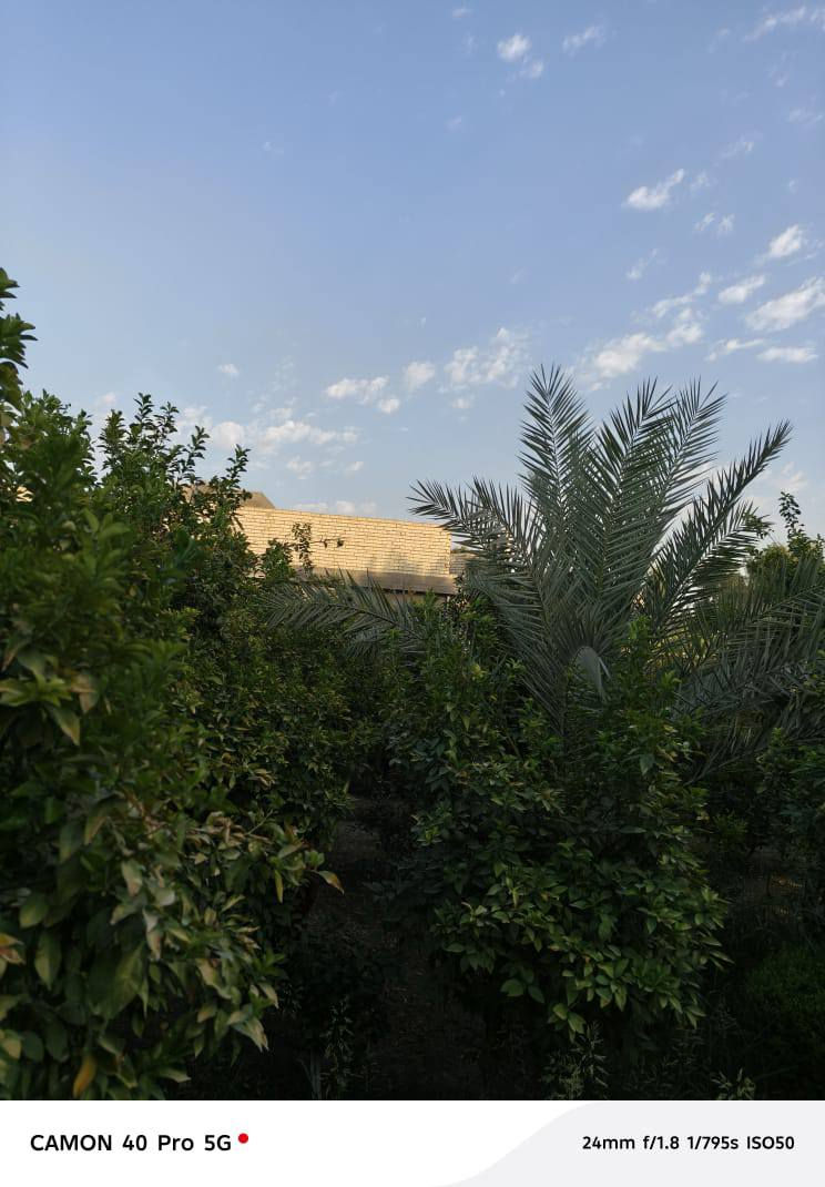 ياالله مزرعه مساحتها 1600م علئ طريق ياحسين كربلاء بغداد قبل جسر المسيب مقابيل منتزه الارجوان تبعد عن الشارع العام 80م جنس الارض طابو زراعي سند ٢٥ تحويل مباشر مشجره كل انواع الاشجار مثمره مع بناء 150م
الاستفسار :🏡 الاتصال علئ الارقام ⬇️
*********** 📲اتصال
*********** 🟩وتساب 
جاهزون لعرض كافه العقارات
