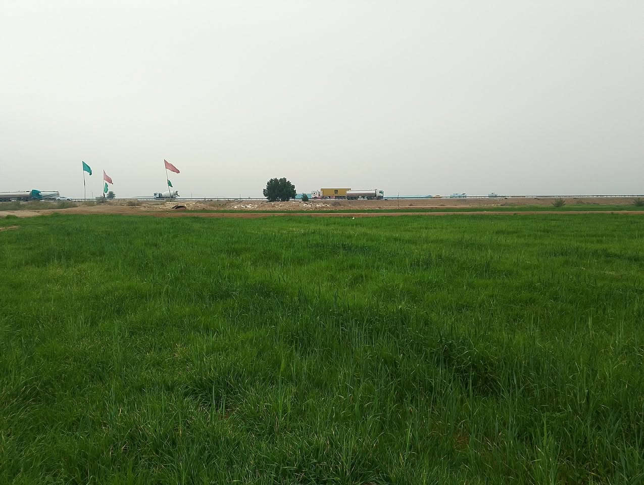 السلام عليكم
توجد كاع 15دونم للضمان مال حلال مزروعه شعير وبيها اشكال الادغال وطاشلها كيمياوي وساكيها جديد بصف  على الدولي مباشره مكانها بابل ناحية النيل للاستفسار ***********
