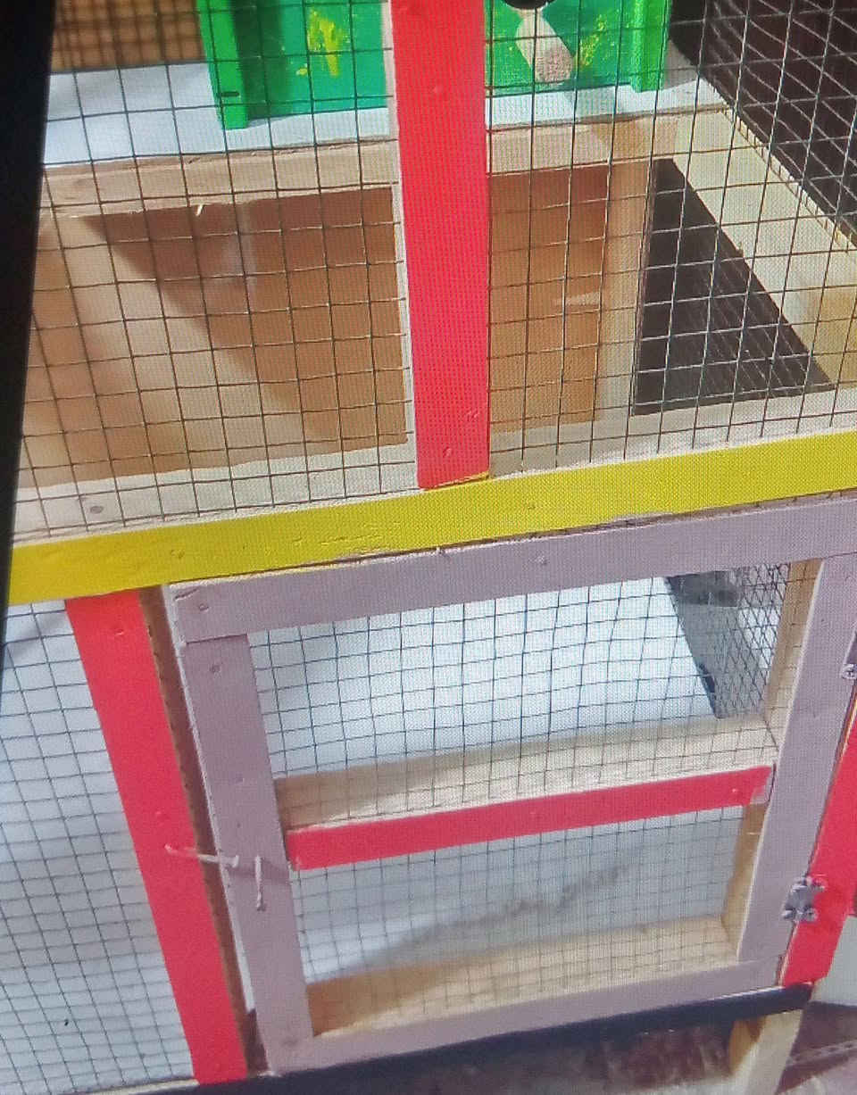 قفص للبيع جديد


**إذا كنت صاحب هذا الإعلان وتريد حذفه لأي سبب، رجاءا أرسل رسالة إلى الدعم الفني**