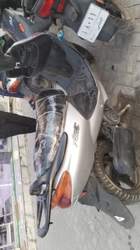 دولفين • مرة وحدة • سلف ميشتغل