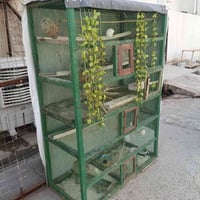 قفص ٣ خانات • ارتفاع ١٧٥سم • كركوك حي العروبة