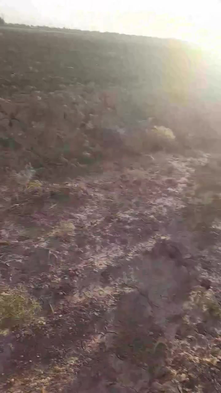 السلام عليكم ارض زراعيه للبيع مساحة ١٢ دونم عقد زراعي عل ١١٧ سلف الأرض بيه ماء اسأله بوري وماء نهر سقي لأرض حلوه تصلح سكن ومشاريع وزراعة مكان الأرض بغداد النهروان ٩نيسان قرية ابا ذر الغفاري وجه عل شارع مباشر *********** *********** وهلا وسهلا بكم وكلشي واضح بل فيديو
