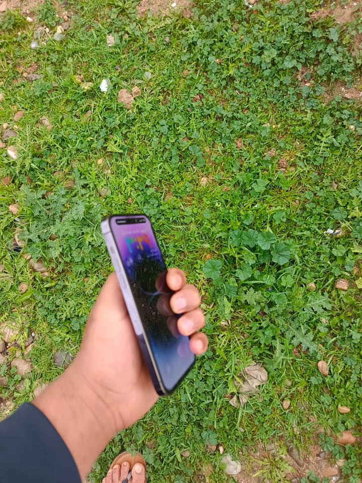 ايفون 14 برو ماكس
ذاكره 256بطاريه امبدله دبل سيم شرق اوسط
شاشه امبدله نوعيه ممتازه 
استخدامو كلش حلو جهاز نضيف
سعر ٤٢٥
***********
