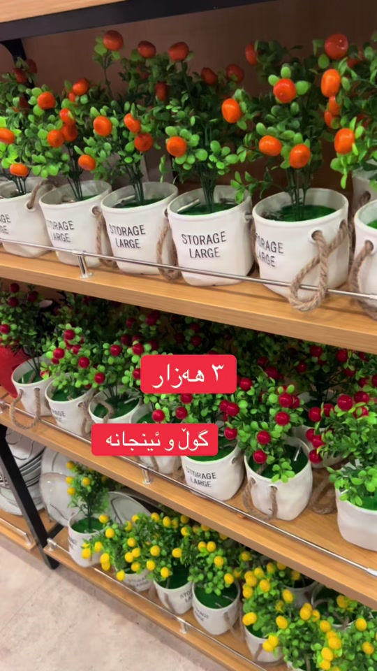 #هەرزان #


**إذا كنت صاحب هذا الإعلان وتريد حذفه لأي سبب، رجاءا أرسل رسالة إلى الدعم الفني**