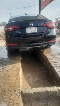 سوناته • ٢٠١٥ • وارد امريكي