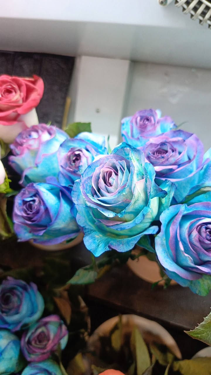 السلام عليكم من رخصة مدير الكروب زهور البنفسج تقدم لكم أفظل انواع الورد بكادر متخصص لتلبيه طلباتكم بأجمل الباقات وألهدايا ماعليكم بس تطلبون والباقي علينه للحجز والاستفسار مراسله الصفحه او الاتصال على الأرقام التاليه ***********او*********** العنوان شارع المغرب مقابل الجوازات مجاور مجمع البندول
