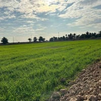 ارض للبيع ✨ المساحة: 2 دونم   الطابو: زراعي، سند 25  الخدمات: كافة الخ...