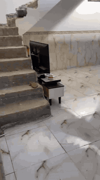 بيت للبيع الحميديه نزال 25/واجهيه 8/طابق ونص غرف نضام سويت اربع غرف بلبيت للاستفسار اتصل بالرقم ‏‪***********‬‏
