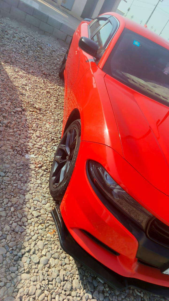 السلام عليكم جارجر 2023 بسمي الحادث جاملغ وبنيد السعر 240 تحويل ثاني يوم للستفسار أكثر الاتصال *********** مكاني بصره قضاء المدينه الهوير
