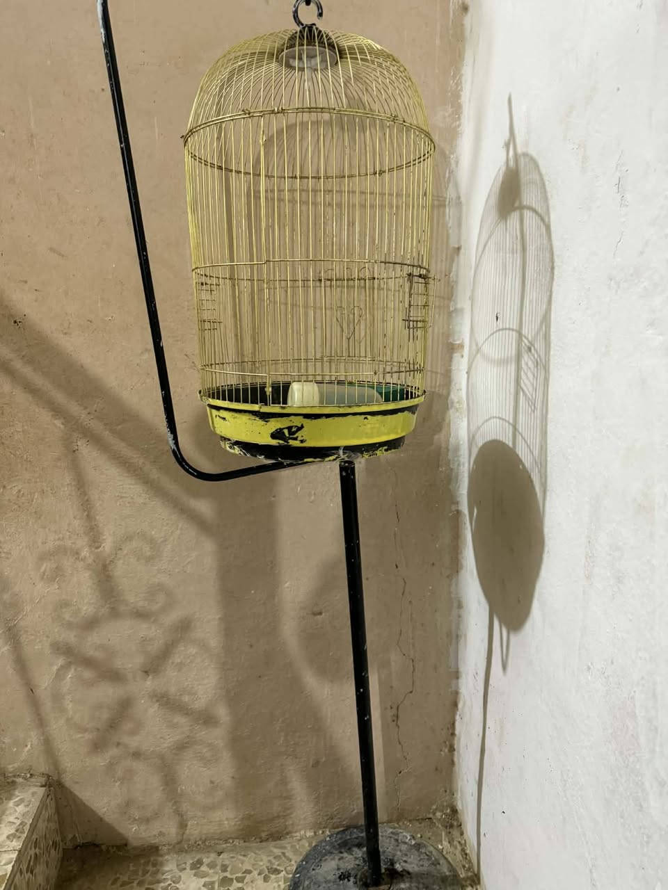 مرحبا غراض للبيع
دريلات عطلانات مااعرف شنو عطلهن سعرهن 25وبيهم مجال للشراي

صوبة نفطية نضيفه عطلانه مااصعد فتيلة سعرها 30 وبيهه مجال

قفص للبيع ماخذينه ب 50 غراضه ويا سعره 40 وبي مجال


**إذا كنت صاحب هذا الإعلان وتريد حذفه لأي سبب، رجاءا أرسل رسالة إلى الدعم الفني**