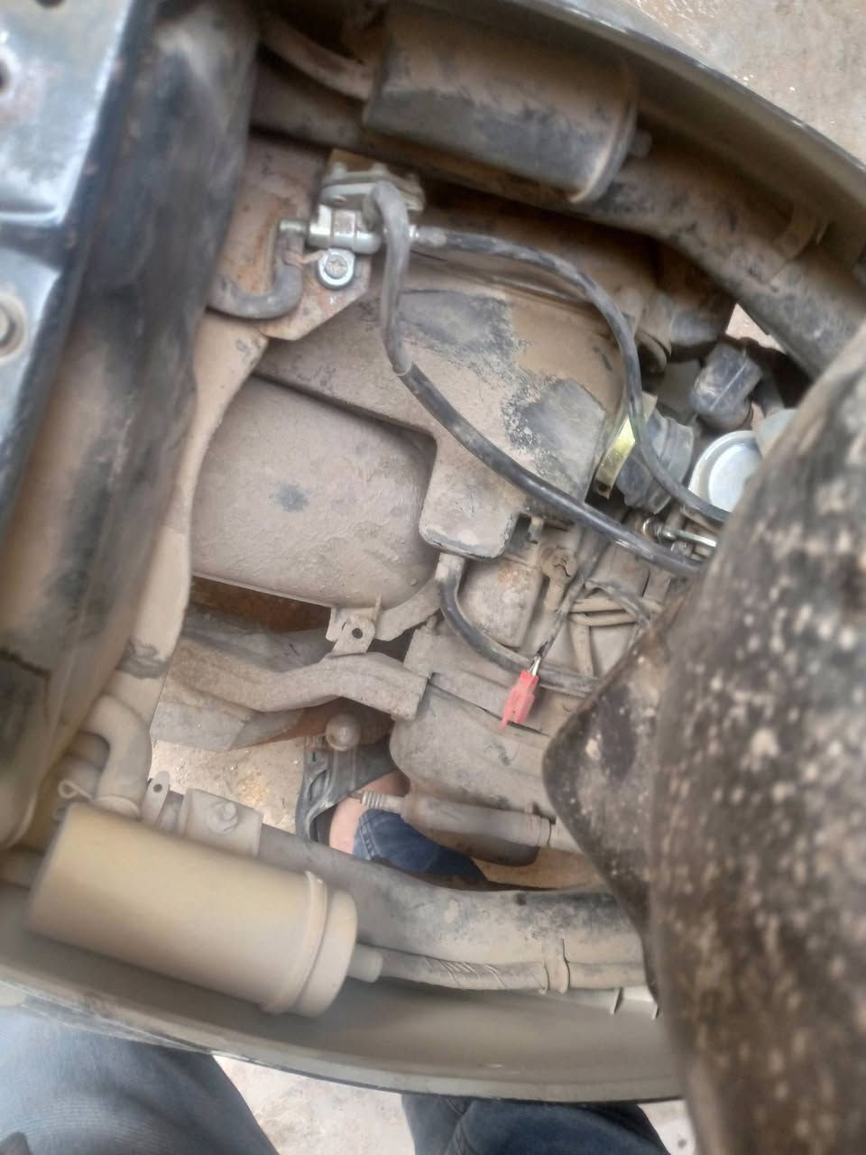 دراجة كوم حديد شغالة سعر 200 قجمة مكينة مكفولة بس بيعة خيط دخانة اشغلهة وتطلع


**إذا كنت صاحب هذا الإعلان وتريد حذفه لأي سبب، رجاءا أرسل رسالة إلى الدعم الفني**