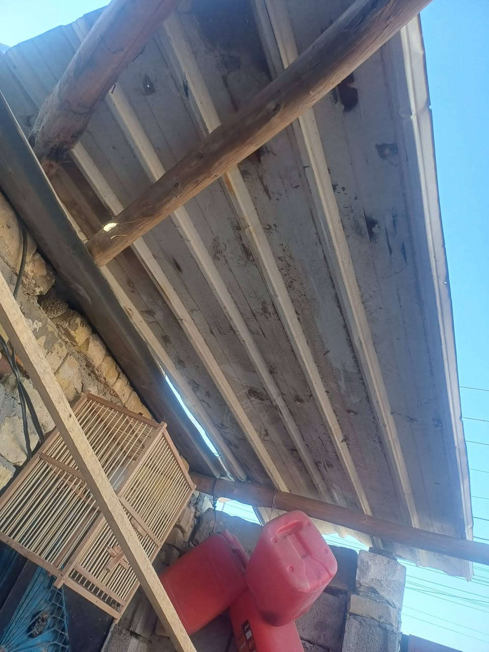 سلام عليكم شبجه وعمدان ٢ ابو الربعه وجينكوه ٣ متر وهاذا رقمي ***********
