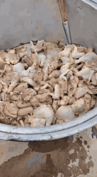 صلاح الطباخ • طباخ مناسبات • نينوى