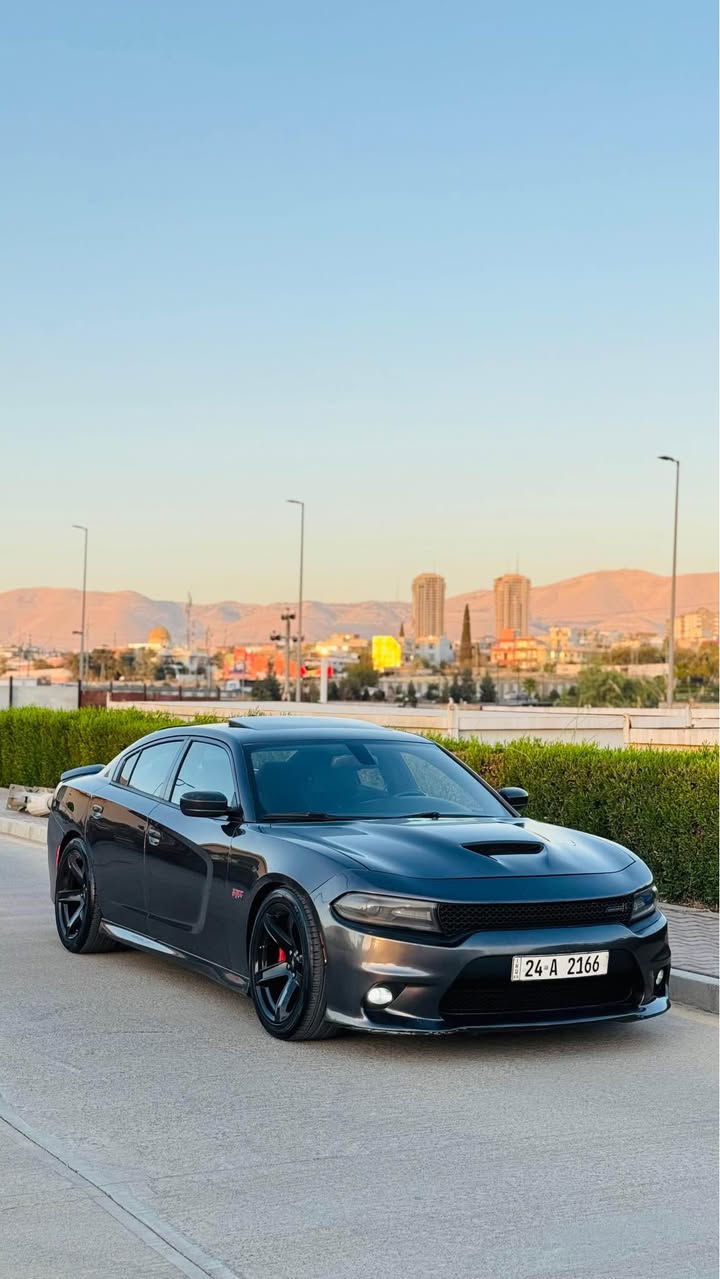 سلام و عليكم ورحمة الله وبركاته بسم الله موجود دوج تشارجر سكات باك ٢٠١٦ وارد كندي للبيع❤️

محرك: SRT V8 6.4L  ٨ سلندر حجم مكينة ٦.٤
مكفول من محرك و كير و كهربايات.✅

سيارة عليها x-pipe . اويل كاتج كان . بلكات ايراديوم . مبدل دهن pennzoil اصلي . كزوزات بلادي ما لاعبتن بيها✅
_____________________
مواصفات📃
1-بصىمة شغال✅
2-تشغيل عن بعد ✅
3-كشنات امامي تبريد+هيتر♨️
4-كشن خلفي هيتر♨️
5-ستيرن هيتر♨️
6-جامات امامي اوتوماتيك✅
7-شاشة كبيرة و كاميرا خلفية✅
8-تحكم وضع قيادة SRT DASHBOARD ✅(CUSTOM,SPORT,DRAG)-9
10-لانج كنترول+بيرن اوت Lunch control +burn out ✅
11-كشن كهربايي✅

___________________
حادث جاملغ خلفي خفيف بدون دواخل 
ماشية:٦٥الف ميل
 و قابل للزياذة.!
____________________
سيارة رقم دهوك سنوية لحد٢٠٣١ هزة لحد شهر خامس
بأسمي تحويل ثاني يوم✅
مكان:سليماني
رقم هاتف: ***********
سعر:١٦٣$مجال السليمانية, العراق
