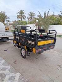 ستوته • موديل 2021 • أوراق كلات