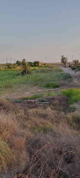 ارض في السعيدة بمساحة دونم تقريبا 
العرض من جهة الشارع 15.5
من جهة السدة 18
الطول يعني النزال 115
السعر  ١٤٩ مليون ..
***********
