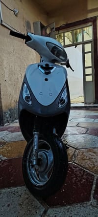 بابل القاسم • ماكس منغولي • فول مكفول