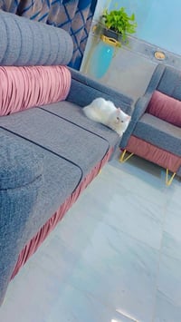 تخم • ١٠ مقاعد • تزكام ثقيل