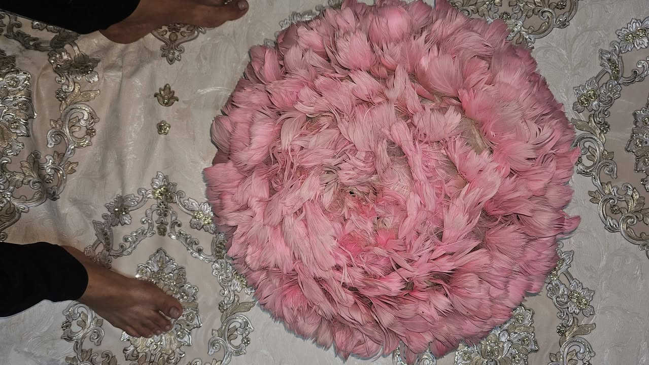 ثريات ريش للبيع شلع ب ٢٠ ***********
