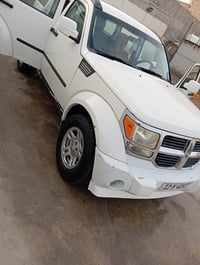 دوج نيترو • ٢٠٠٨ • مكفولة صبغ
