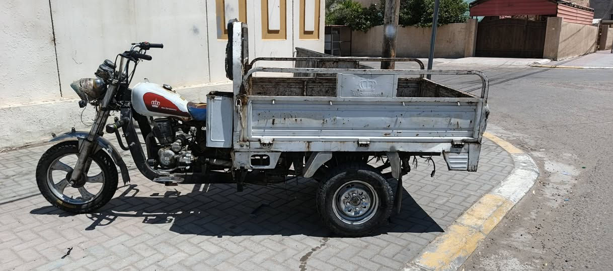 السلام عليكم ستوتة للبيع فحل عالي كلاب السعر 850 الف بيها مجال العنوان تكريت ***********
