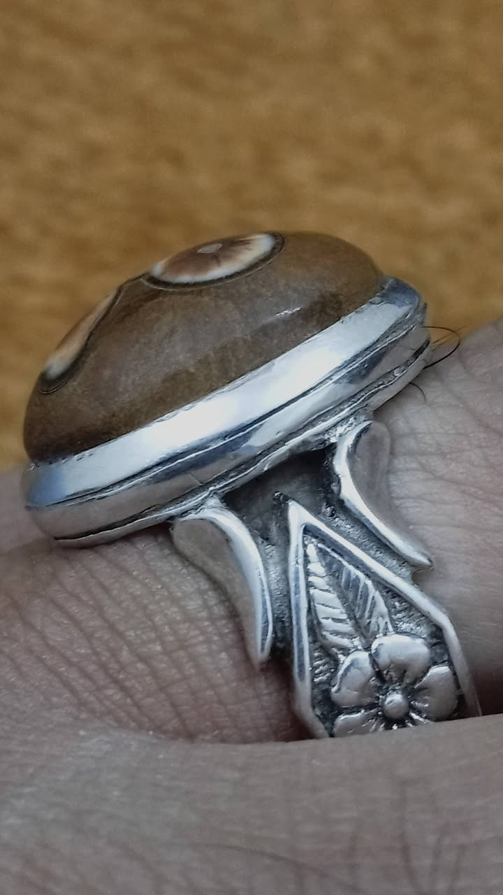 داودي مصور للبيع السعر خاص


**إذا كنت صاحب هذا الإعلان وتريد حذفه لأي سبب، رجاءا أرسل رسالة إلى الدعم الفني**