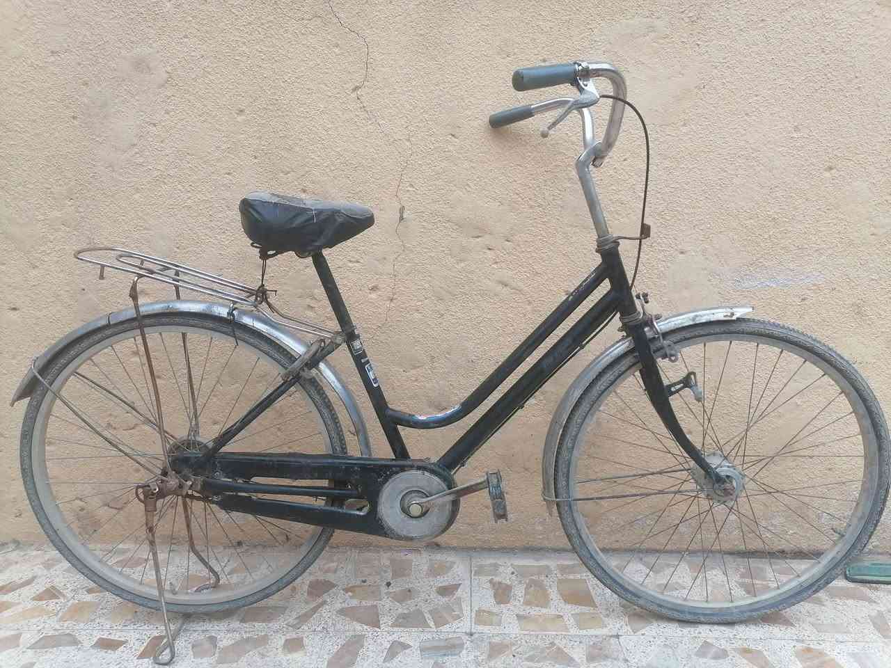 بايسكل عبد الحليم 26 بايسكل شغال كامل مال روحه وجيه سعرو 45 بي مجال عنواني أيسر شراي دزلي طلب او مراسله


**إذا كنت صاحب هذا الإعلان وتريد حذفه لأي سبب، رجاءا أرسل رسالة إلى الدعم الفني**